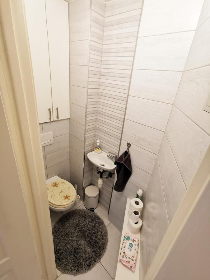 Bright, Spacious Apartment 3 Bedroom, Garage Budapest Kültér fotó